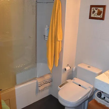 Apartament Duplex En El Centro De Alp